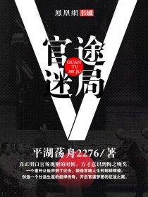 官路迷局txtx
