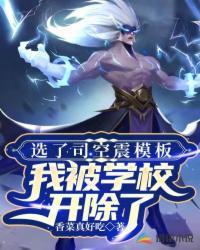 司空震开大图