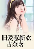 旧爱新欢txt